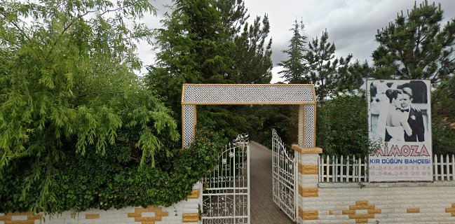 Adesen Cebeci Alabalık