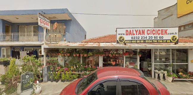 Dalyan Dayının Yeri