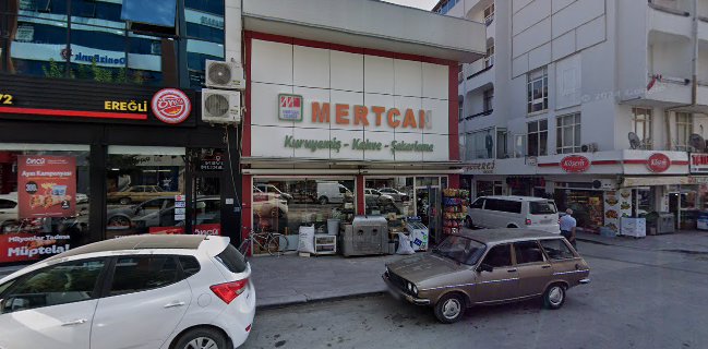 Hitit unlu mamüller