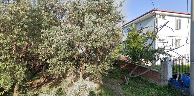 Etkinlik & Eğlence Gezegeni