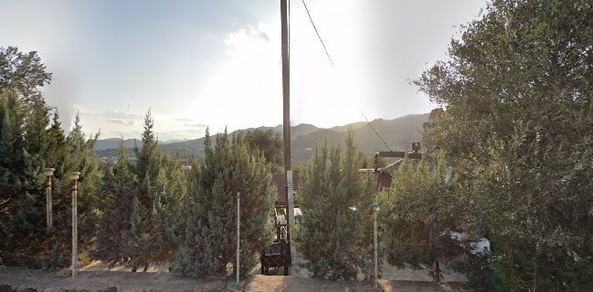 Opinii despre Parpali Restaurant în Bodrum - Gastronomi ve konaklama