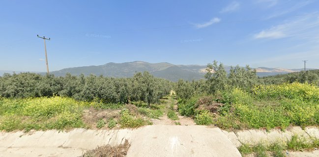 Kalıcı Olarak kapalı